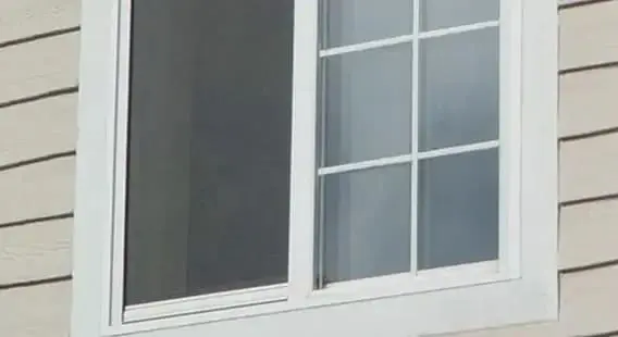 Plase de insecte NoBuzz