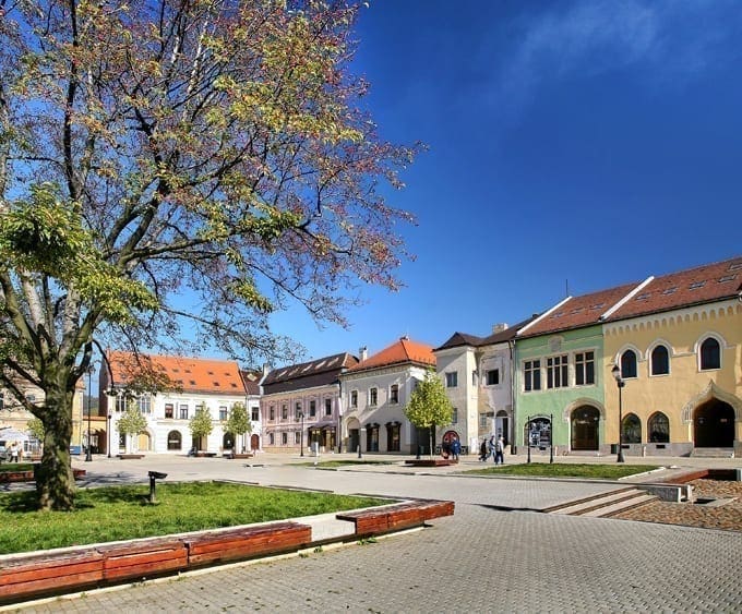 Reprezentanțe QFORT Baia Mare