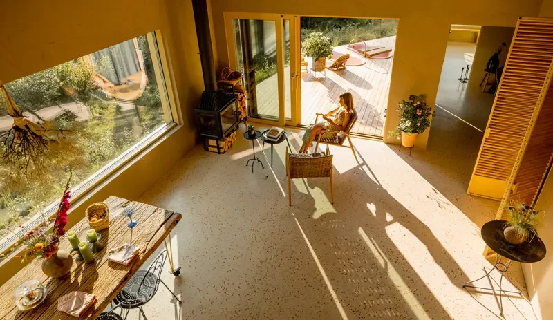 Pe ce se bazează designul biofilic?